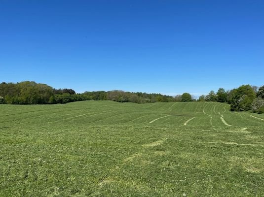 Blick auf das Gelände