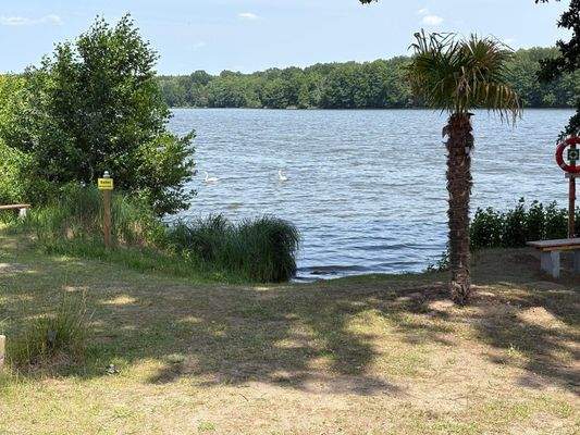 28db9d37-3458-4575-a629-47c4ba09c01a