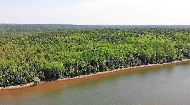 Cape Breton - Cleveland - Wunderschönes Fluss-Ufer