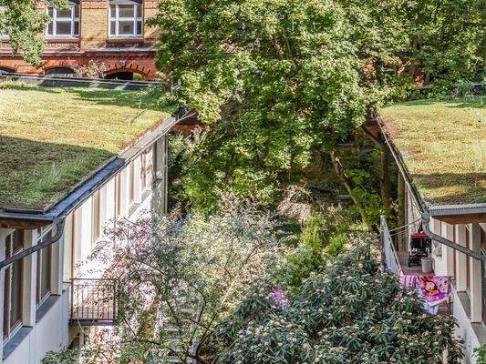 Gründächer WE31 &amp; WE32