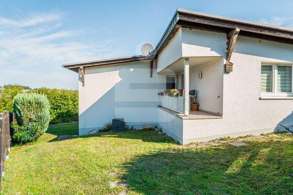 Rückansicht mit Garten