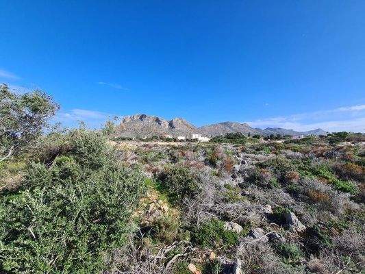 Kreta, Stavros: Riesiges Grundstück in Strandnähe zu verkaufen