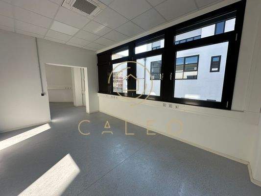 Innenaufnahme - Bürofläche 1