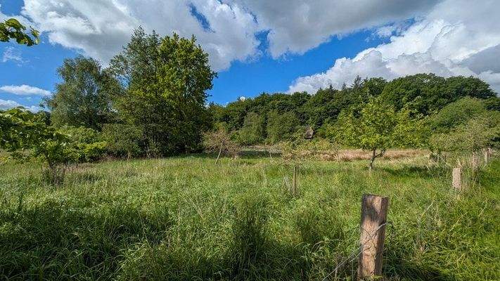 Blick über die Felder