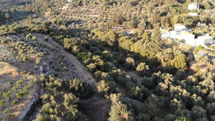 Kreta, Neo Chorio: Charmantes Baugrundstück mit Olivenbäumen und Panoramablick im Apokoronas zu verkaufen