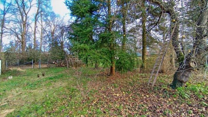 Hinterland Ansicht 2