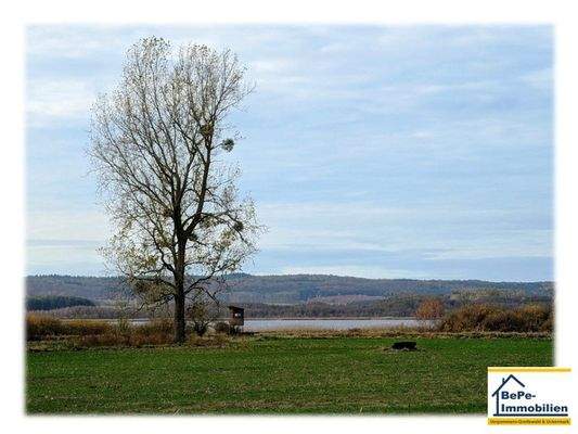 BePe_Immobilien_Heinrichswalde_Galenbeck_Bild_05.j