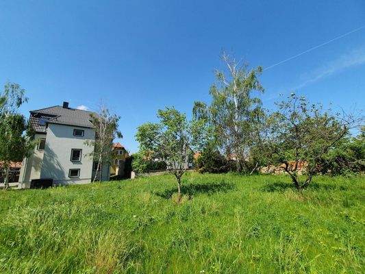 Großzügiger Garten