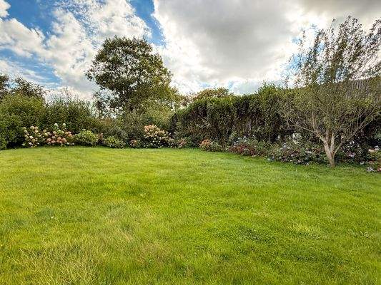 Der dicht eingewachsene Garten