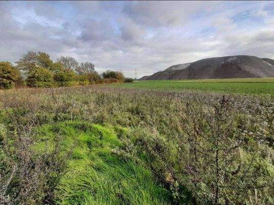 fac271b7-9ba0-440c-97f6-80da6ad3bebf-1956982018