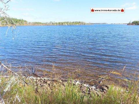 Gabarus Lake Grundstücke, Gabarus Lake Grundstück kaufen