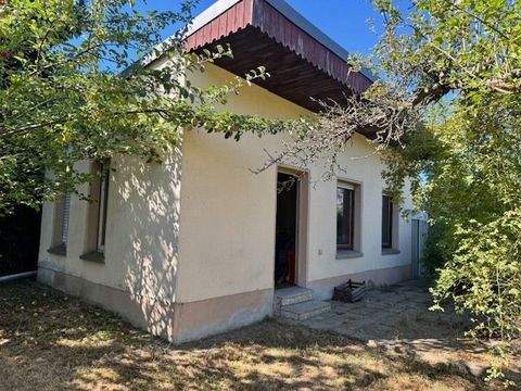 Oschatz Häuser, Oschatz Haus kaufen