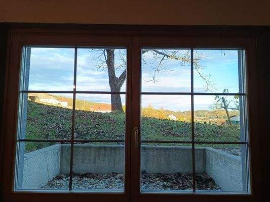 IMG_20251028_155655 - Kopie.jpg