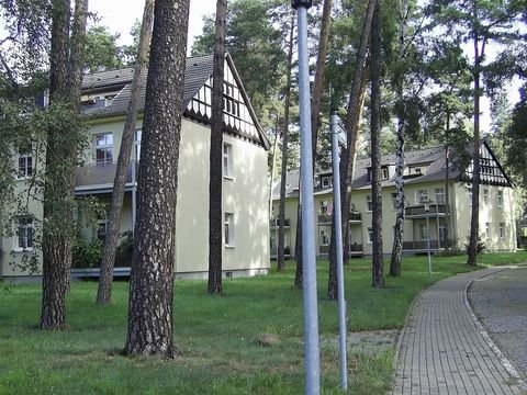 Dessau-Roßlau Wohnungen, Dessau-Roßlau Wohnung kaufen