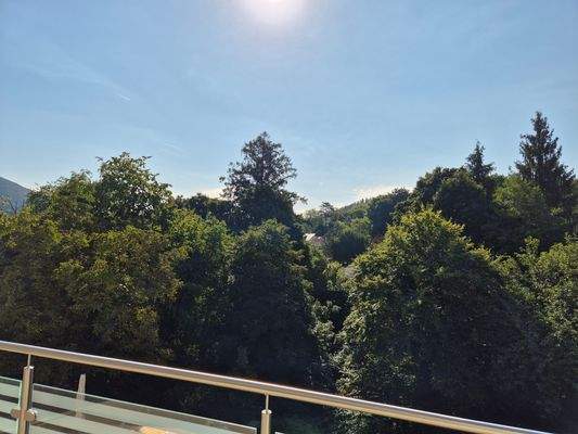 Blick vom Wohnbereich - reine Süd-Ostseite - unverbaubar