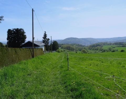 Freital / Weißig Bauernhöfe, Landwirtschaft, Freital / Weißig Forstwirtschaft