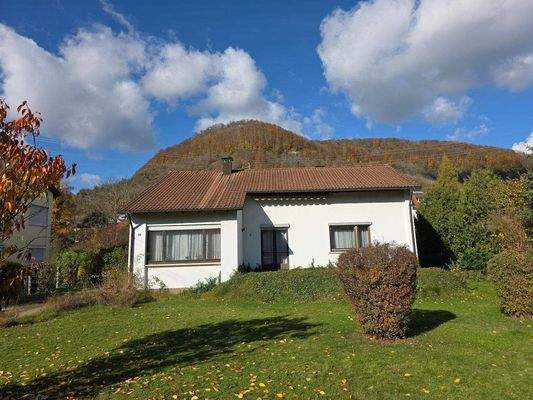 schönes Einfamilienhaus mit großem Garten