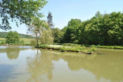 Lure Bauernhöfe, Landwirtschaft, Lure Forstwirtschaft
