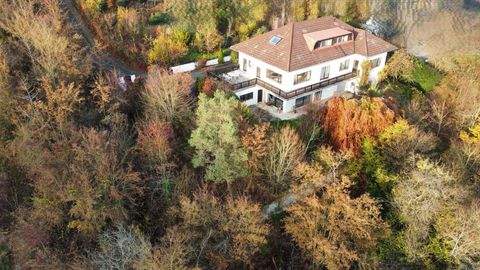 Bamberg Häuser, Bamberg Haus kaufen