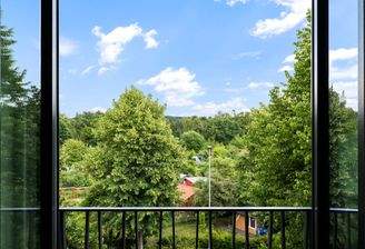 die Kleingartenanlage im Blick