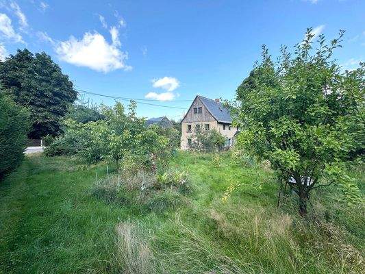 Gartenbereich mit Obstbäumen