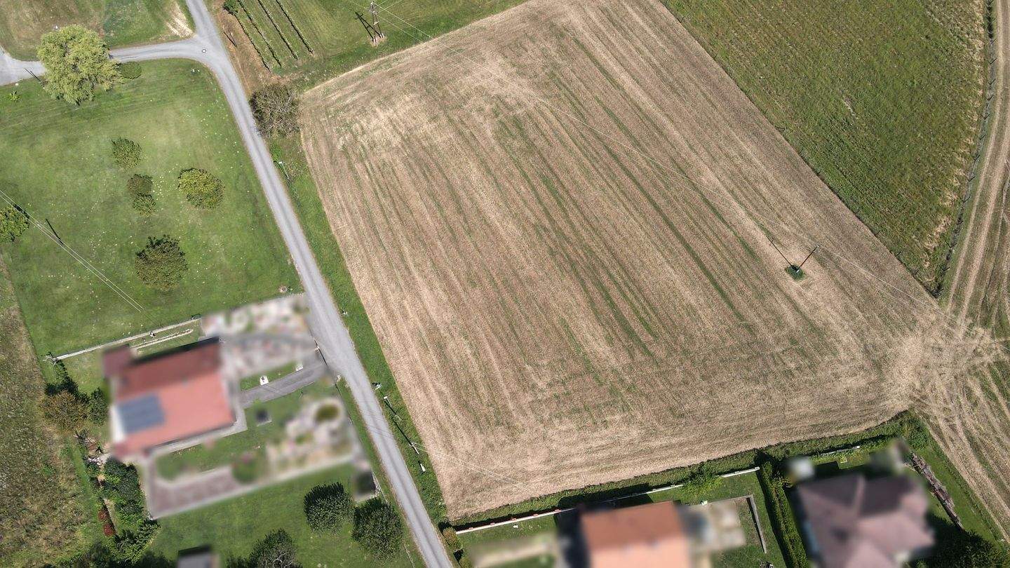 Real Estate Image