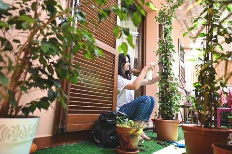 Marnheim Häuser, Marnheim Haus kaufen