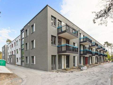 Ludwigsfelde Wohnungen, Ludwigsfelde Wohnung mieten