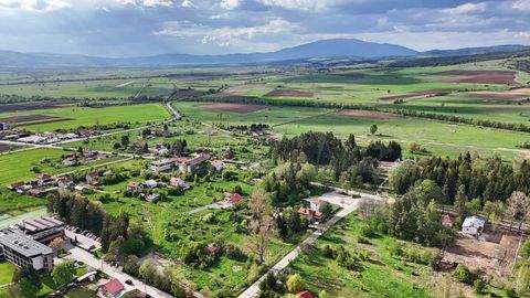 Belchin Bauernhöfe, Landwirtschaft, Belchin Forstwirtschaft