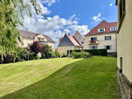 Blick in den sonnigen Garten