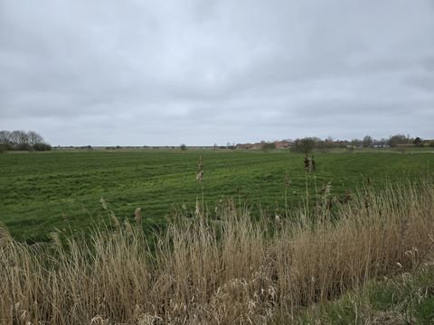 Wurster Nordseeküste Bauernhöfe, Landwirtschaft, Wurster Nordseeküste Forstwirtschaft