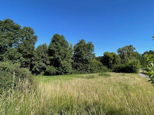 Eine eigene Wiese...