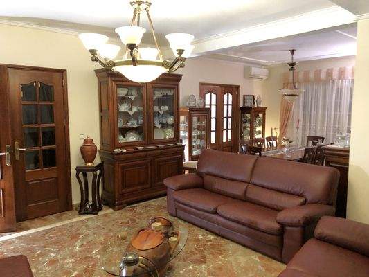 Salon und Speisezimmer