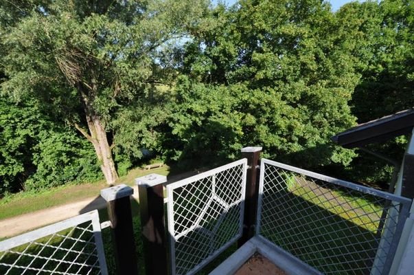 Ausblick Balkon