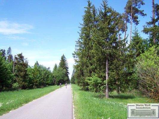 Impression Grünwalder Forst