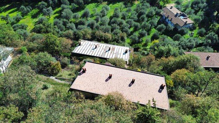 dji_fly_20241104_120538_281_1730718522802_photo_op