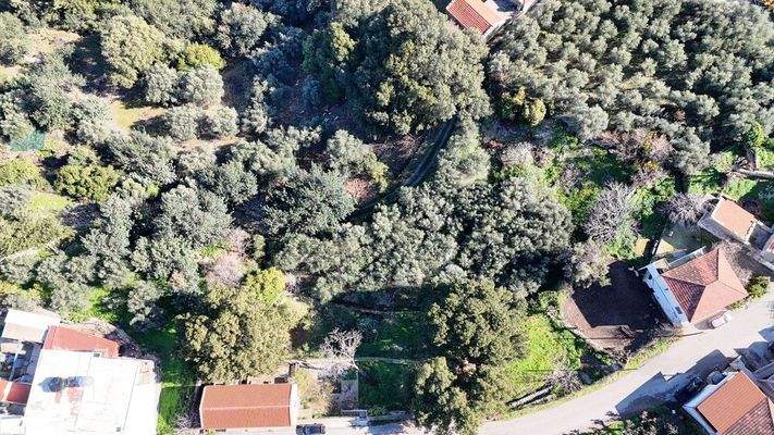 dji_fly_20250131_104100_0004_1738313132209_photo-C