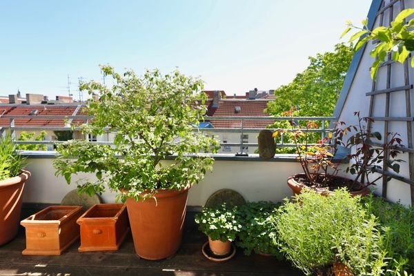 Terrasse 2
