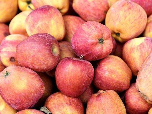 Bitte nur Fallobst!😉