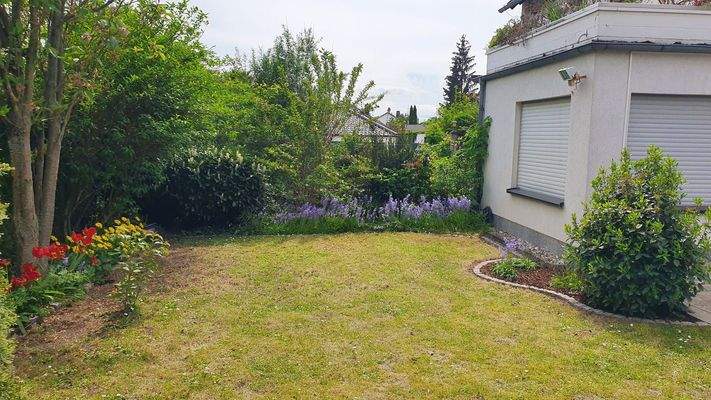 Garten hinter dem Haus 4