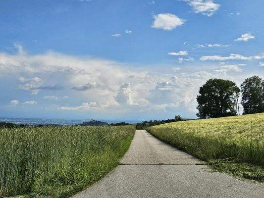 auf dem Weg zum Grundstück