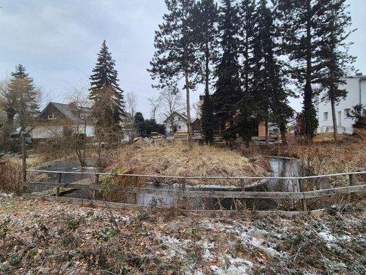 Naturteich im hinteren Grundstücksteil