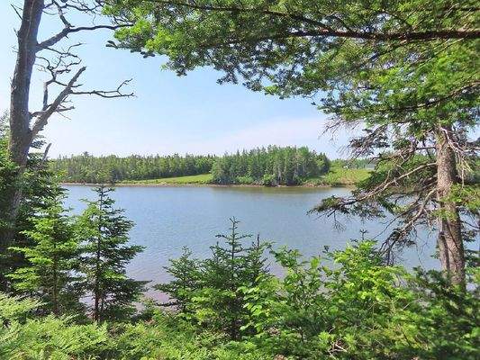 Cape Breton - Cleveland - Wunderschönes Fluss-Ufer