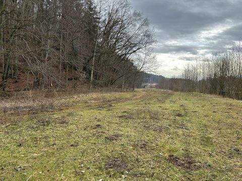 Nußdorf Bauernhöfe, Landwirtschaft, Nußdorf Forstwirtschaft