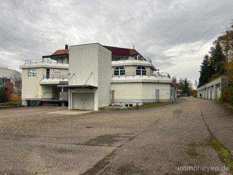 Neukirch Halle, Neukirch Hallenfläche