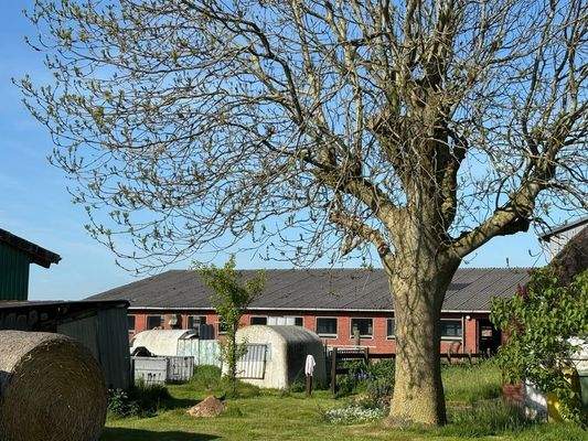 Hauptgebäude Stallteil