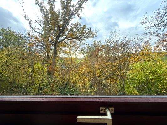 Obere Ebene - Blick aus dem Wohzimmer