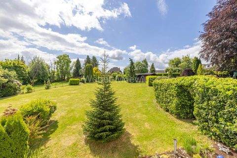 Much Häuser, Much Haus kaufen