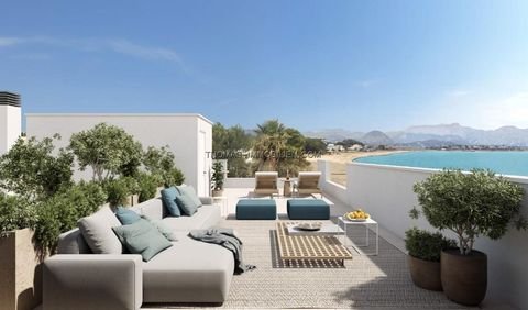 Alcúdia Häuser, Alcúdia Haus kaufen