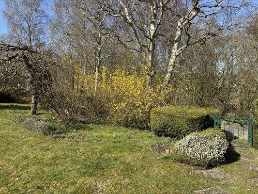 Garten - Lütt Immobilien -Kiel - Kronshagen